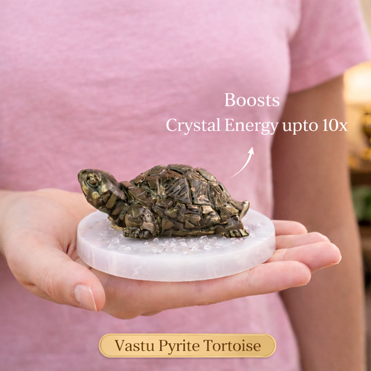Dhan Raksha Pyrite Tortoise w/ Free Selenite Plate
