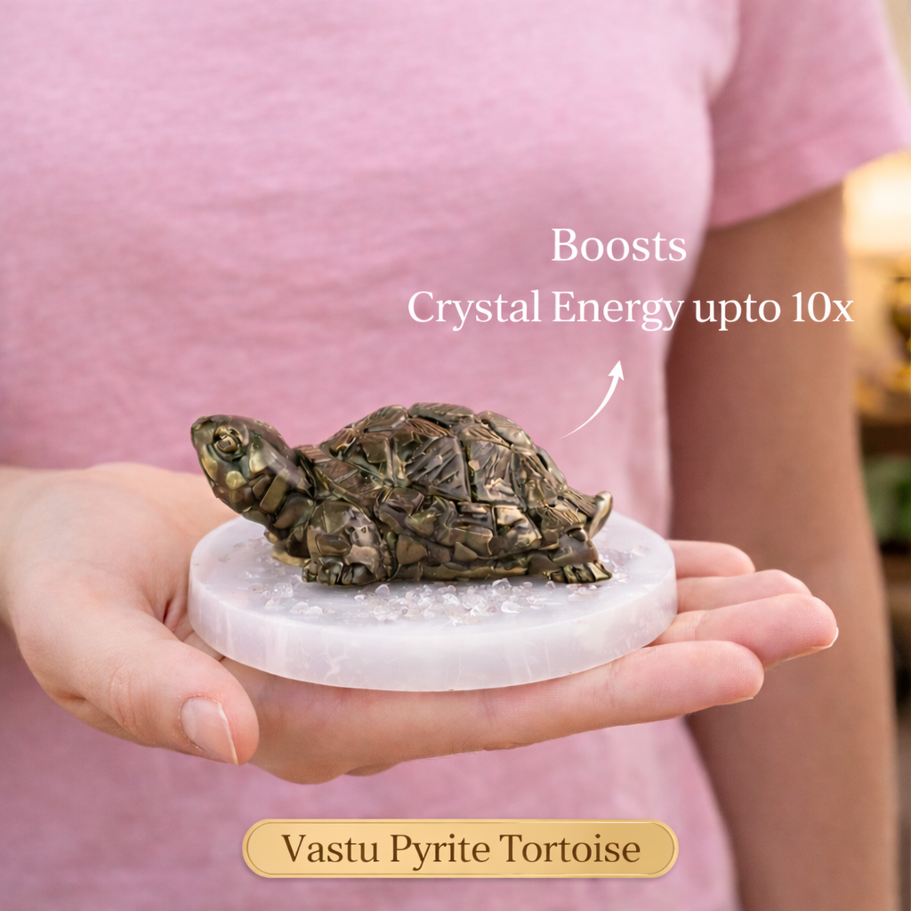 Dhan Raksha Pyrite Tortoise w/ Free Selenite Plate