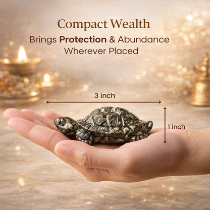 Dhan Raksha Pyrite Tortoise w/ Free Selenite Plate
